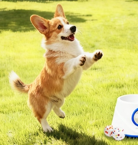 28383e55 ad81 4996 a418 3f8633d542e6