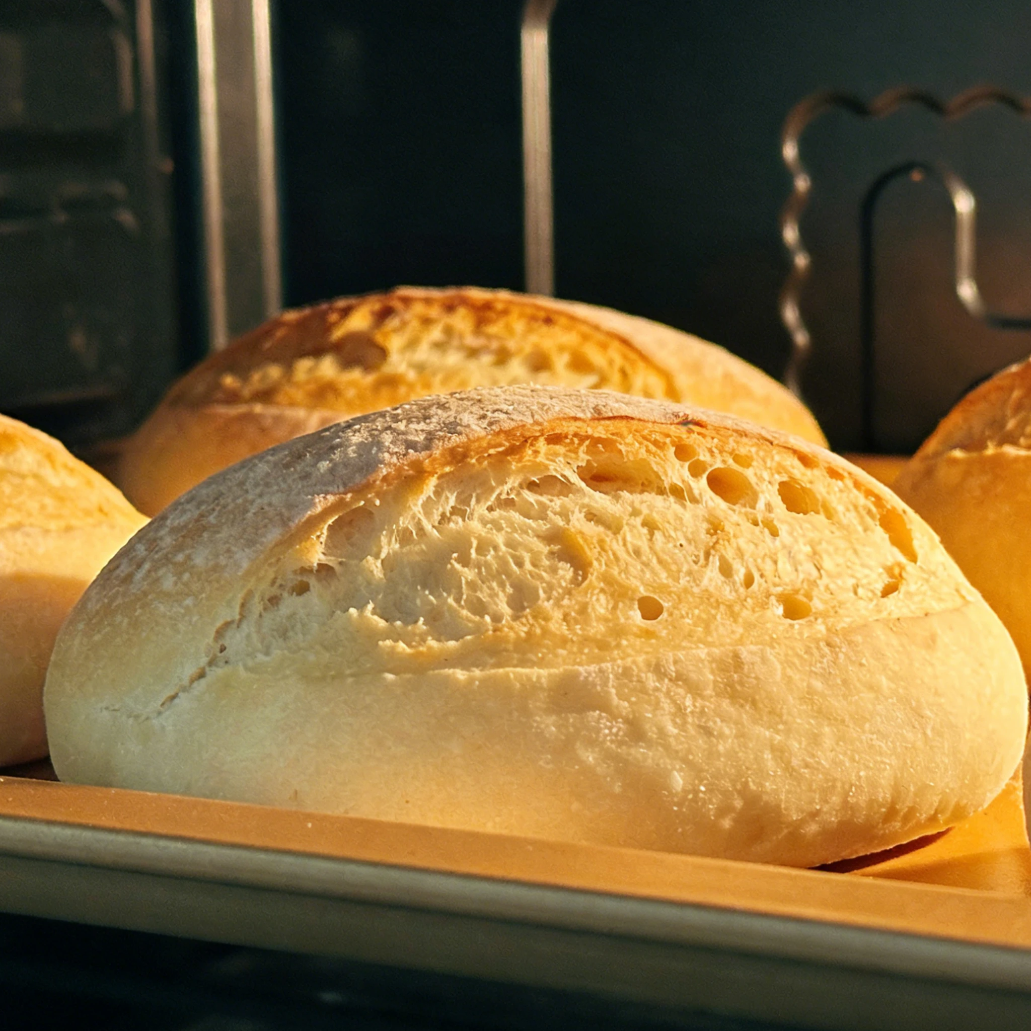 sourdough starter kit (striped grey+striped khaki)